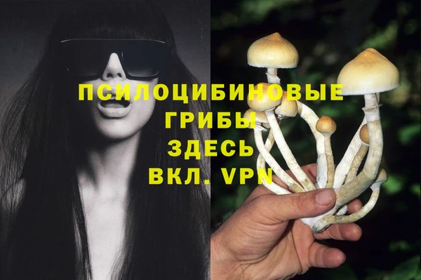 твердый Беломорск