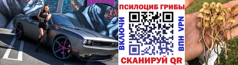 Псилоцибиновые грибы Psilocybine cubensis  даркнет сайт  Ялуторовск 